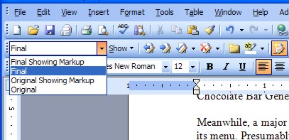 Viewing the document in its final form in Word XP