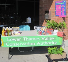 A table in front of a brick wall with condiments, pop, chips, and seedlings on top of it, and a green sign taped to the front that says, “Lower Thames Valley Conservation Authority.”