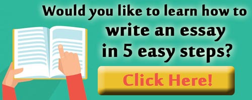 Scribendi.com launched How to Write an Essay in 5 Easy Steps as an online course available on Udemy.